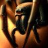 Spidey